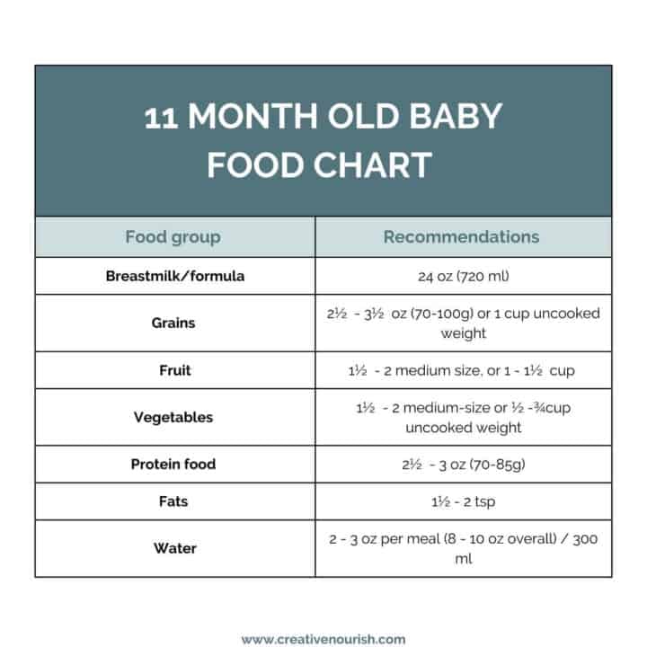 11 Month Old Feeding Schedule: A Comprehensive Guide to Healthy Eating