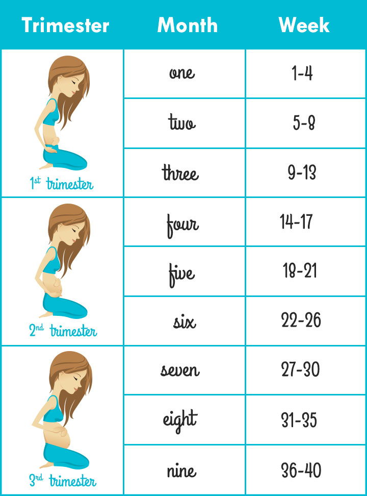 5 Weeks Is How Many Months: A Comprehensive Guide to Time Conversion