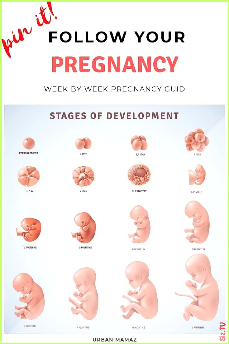 6 Months In Weeks: A Comprehensive Guide