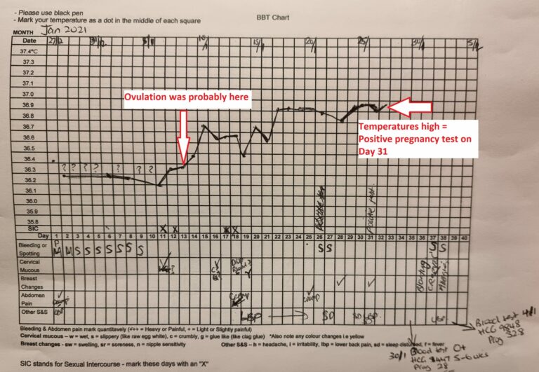 Bbt Chart Of Pregnant Woman: A Comprehensive Guide