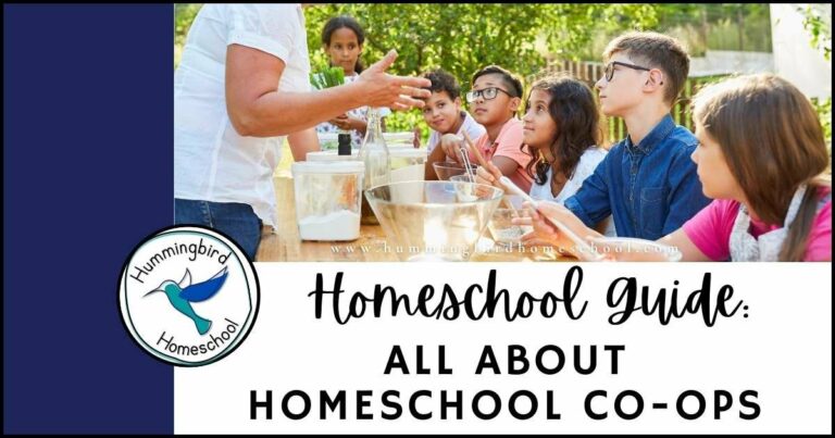 Co Ops for Homeschoolers: A Collaborative Learning Adventure