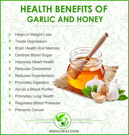 Garlic And Honey Benefits: A Medicinal Match Made In Nature
