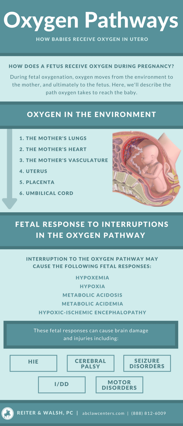 How Do Infants Breathe In The Womb?