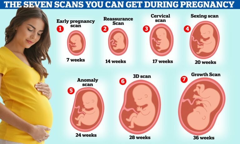 How Many Ultrasounds Are Recommended During Pregnancy?