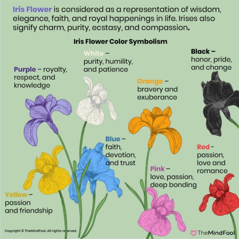 Name Meaning of Iris: A Journey Through Etymology, Symbolism, and Culture