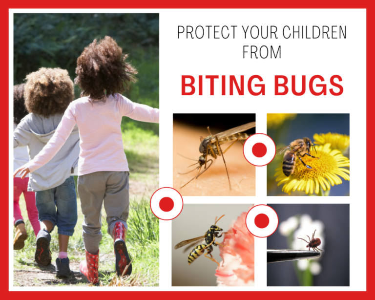 Safeguarding Infants from Bug Bites: A Comprehensive Guide to Bug Repellents