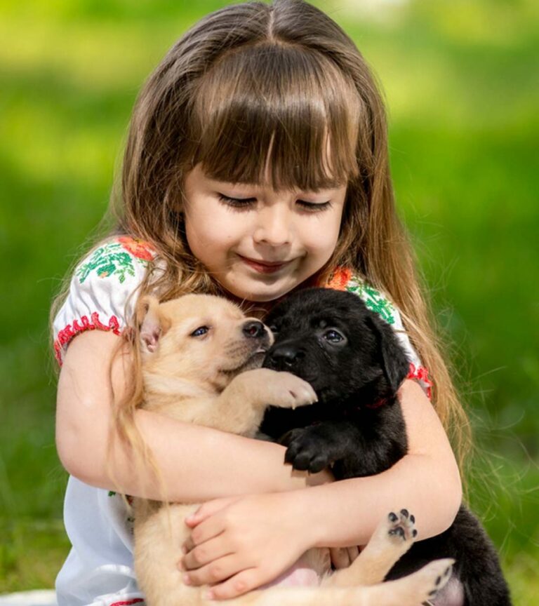 Small Pets for Kids: A Guide to Choosing and Caring for Your Child’s New Companion