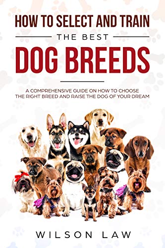 The Best Dog Breed for Families: A Comprehensive Guide