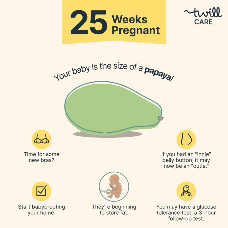 25 Weeks Pregnant Baby 39 s Size Symptoms Tips And To Dos Twill Care