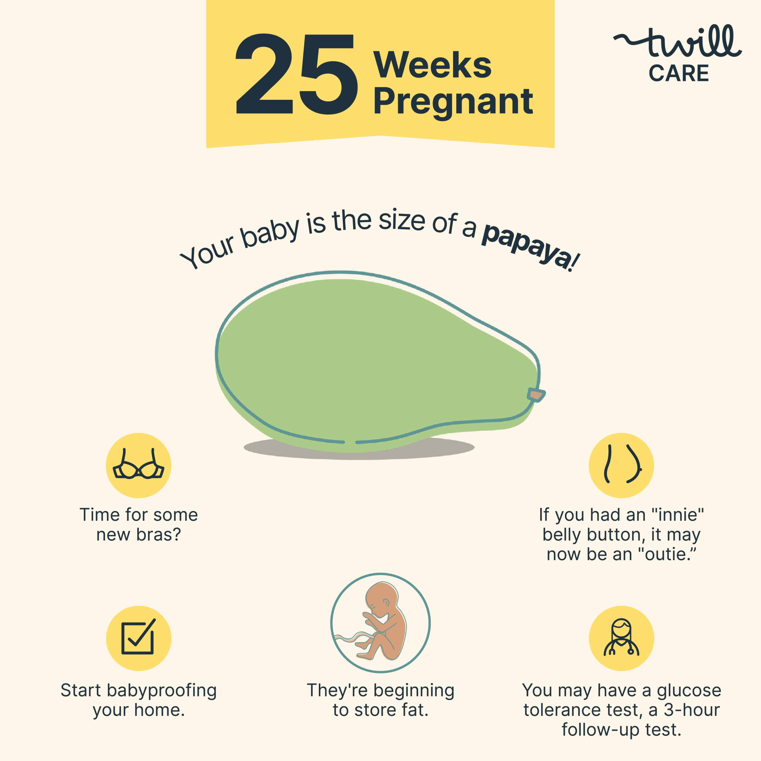 25 Weeks Pregnant Baby 39 s Size Symptoms Tips And To Dos Twill Care