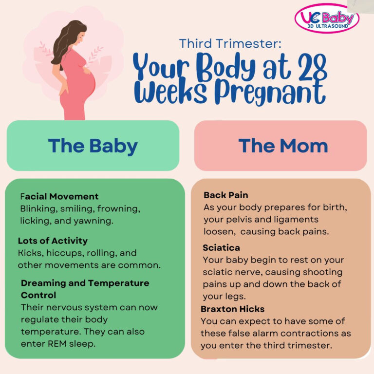 28 Weeks Ultrasound