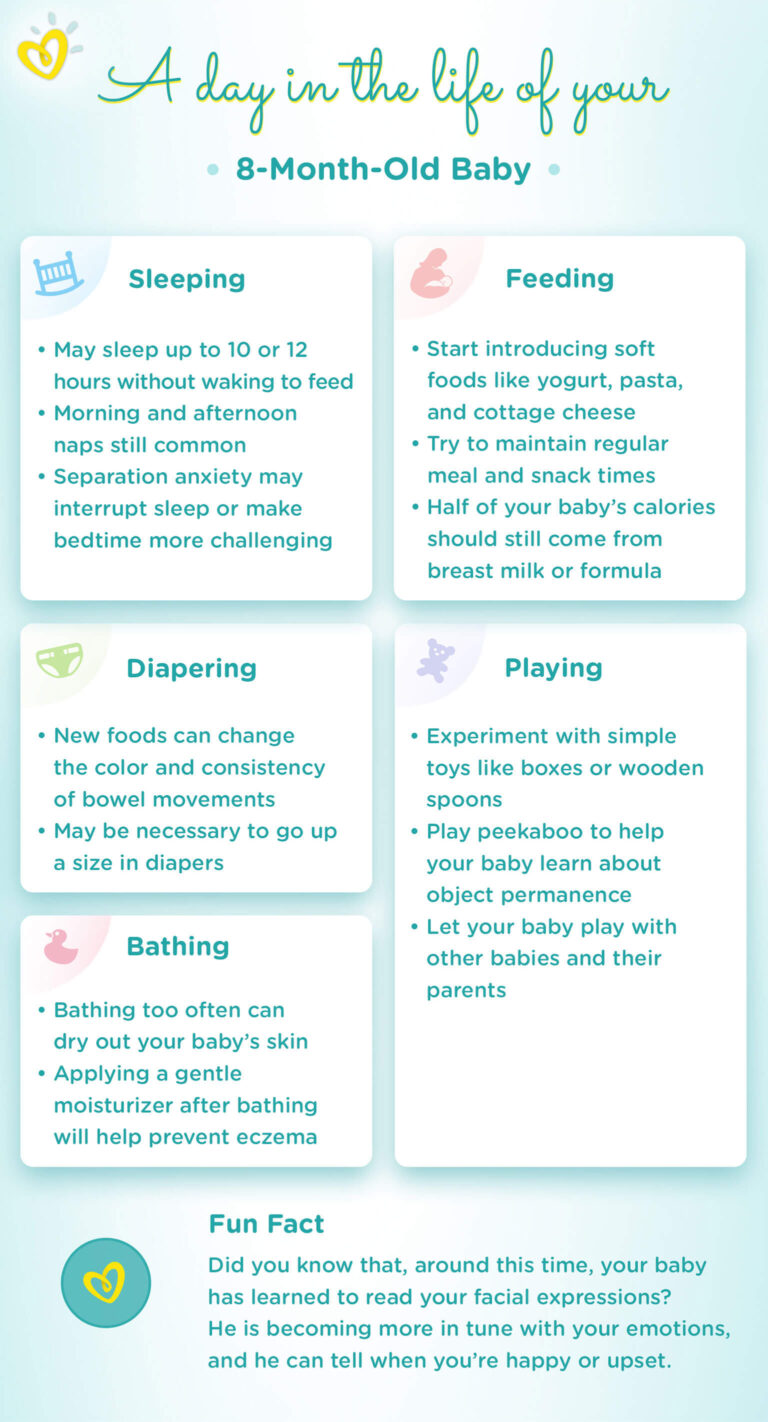 8 Month Old Baby Development Milestones Pampers