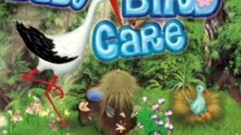 Baby Bird Care Kotaku