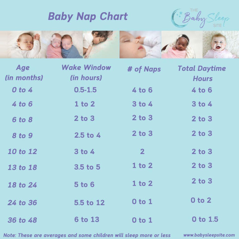 Baby Sleep Cycles By Age Chart The Baby Sleep Site