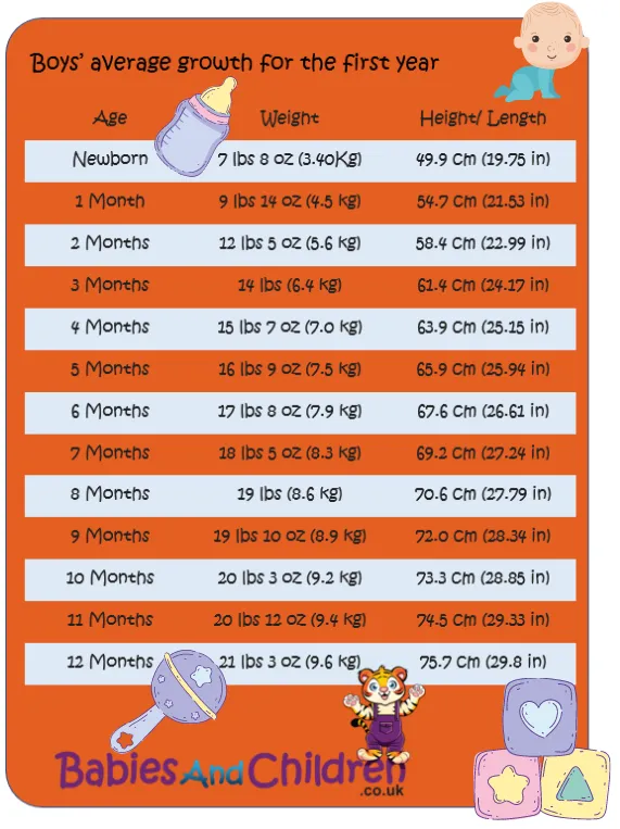 Baby Weight And Height Charts Stats And Amazing Facts