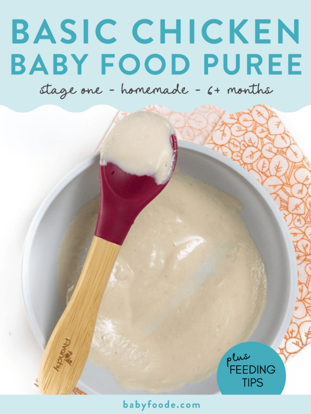 Basic Chicken Baby Food Recipe 6 Months Stage 1 Baby Foode