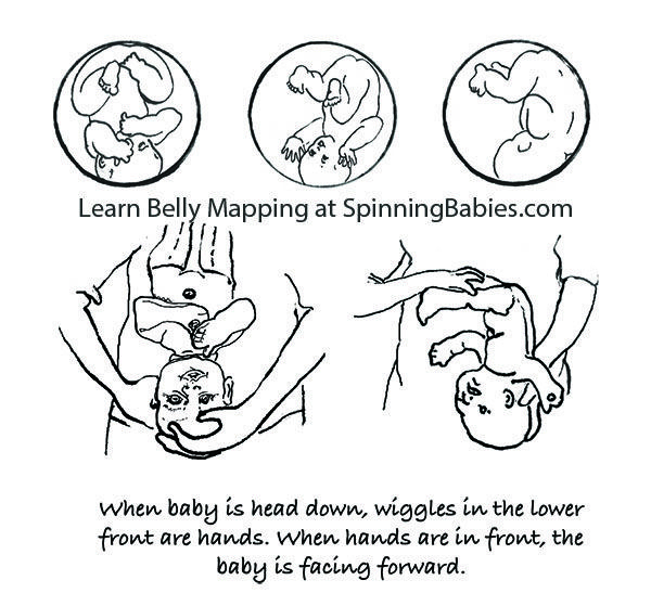 Belly Mapping How To Tell Baby 39 s Position In The Womb Baby Position 
