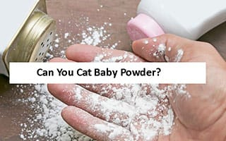 Can You Eat Baby Powder What Will Happens If You Eat 
