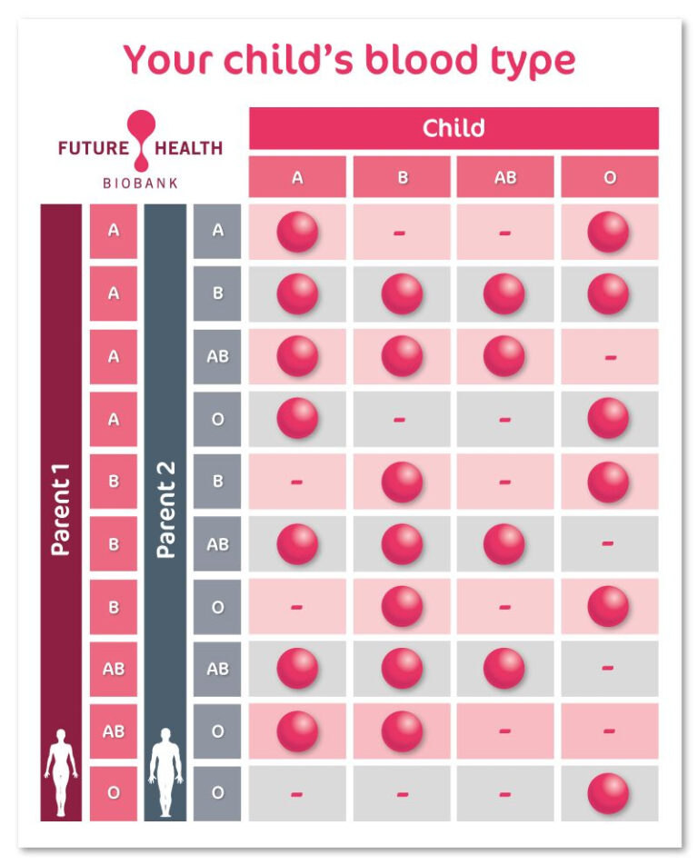 Child Blood Type Calculator Artofit