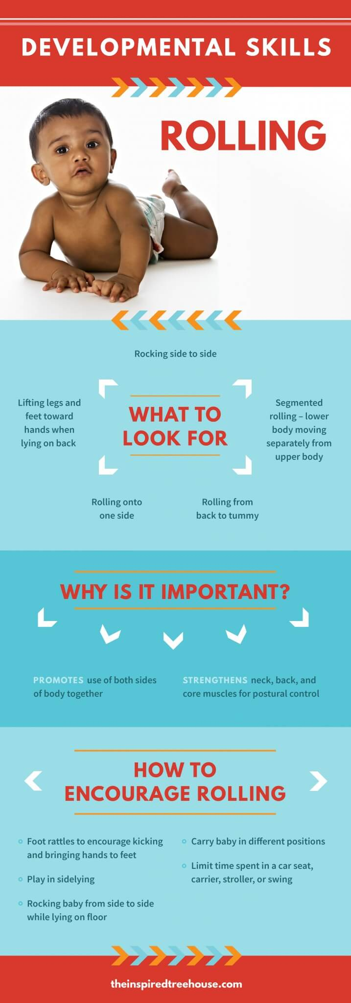 Developmental Skills At What Age Do Babies Roll Over The Inspired 