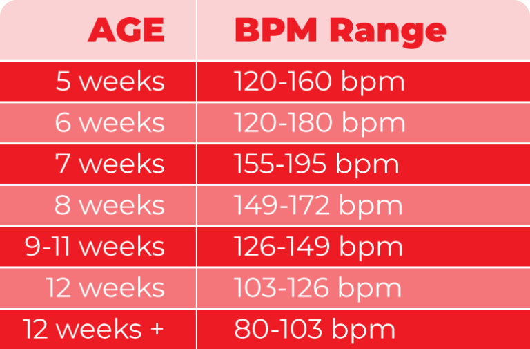 Fetal Heart Rate Monitoring Explained CardiacDirect