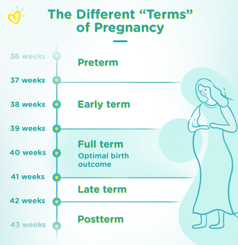 Full Term Pregnancy Explained Pampers