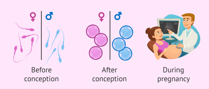 Gender Selection Can You Actually Choose Your Baby 39 s Sex 
