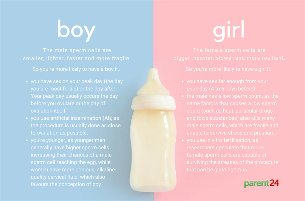 Here 39 s What Science Says About How You Can Conceive A Boy Or Girl News24