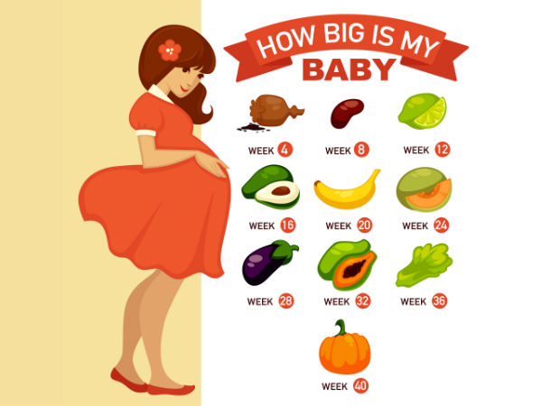 How Big Is My Baby At 21 Weeks Of Pregnancy PregnancyWalls