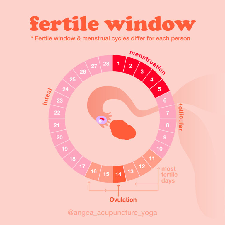How Do You Know Your Fertility Level At Wallace Rivera Blog