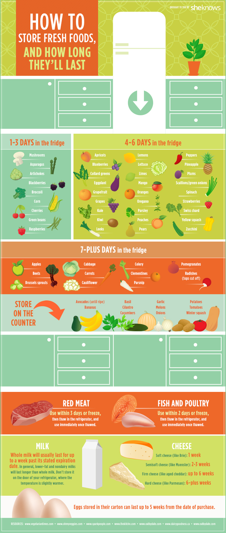 How Long Does Fresh Baby Food Last In The Fridge At Jeremy Ma Blog