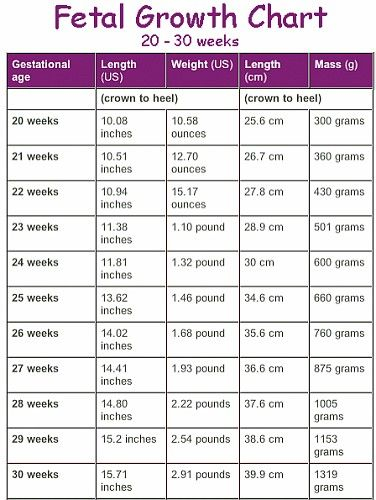 How Much Should Your Baby Weigh At 29wks Fetal Growth Chart Baby 