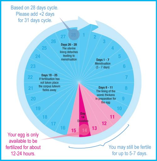 How To Conceive A Baby Boy 8 Tips To Try