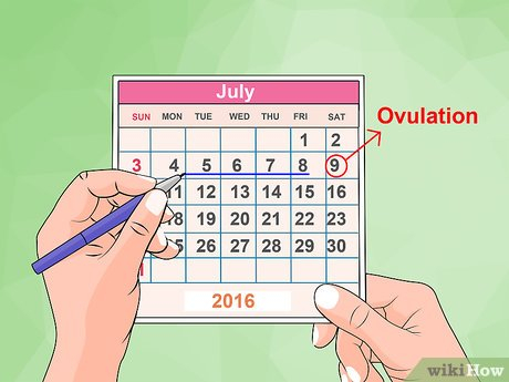 How To Conceive A Girl 11 Helpful Tips