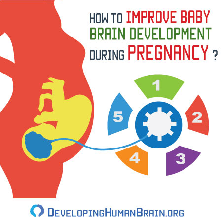 How To Improve Baby Brain Development During Pregnancy