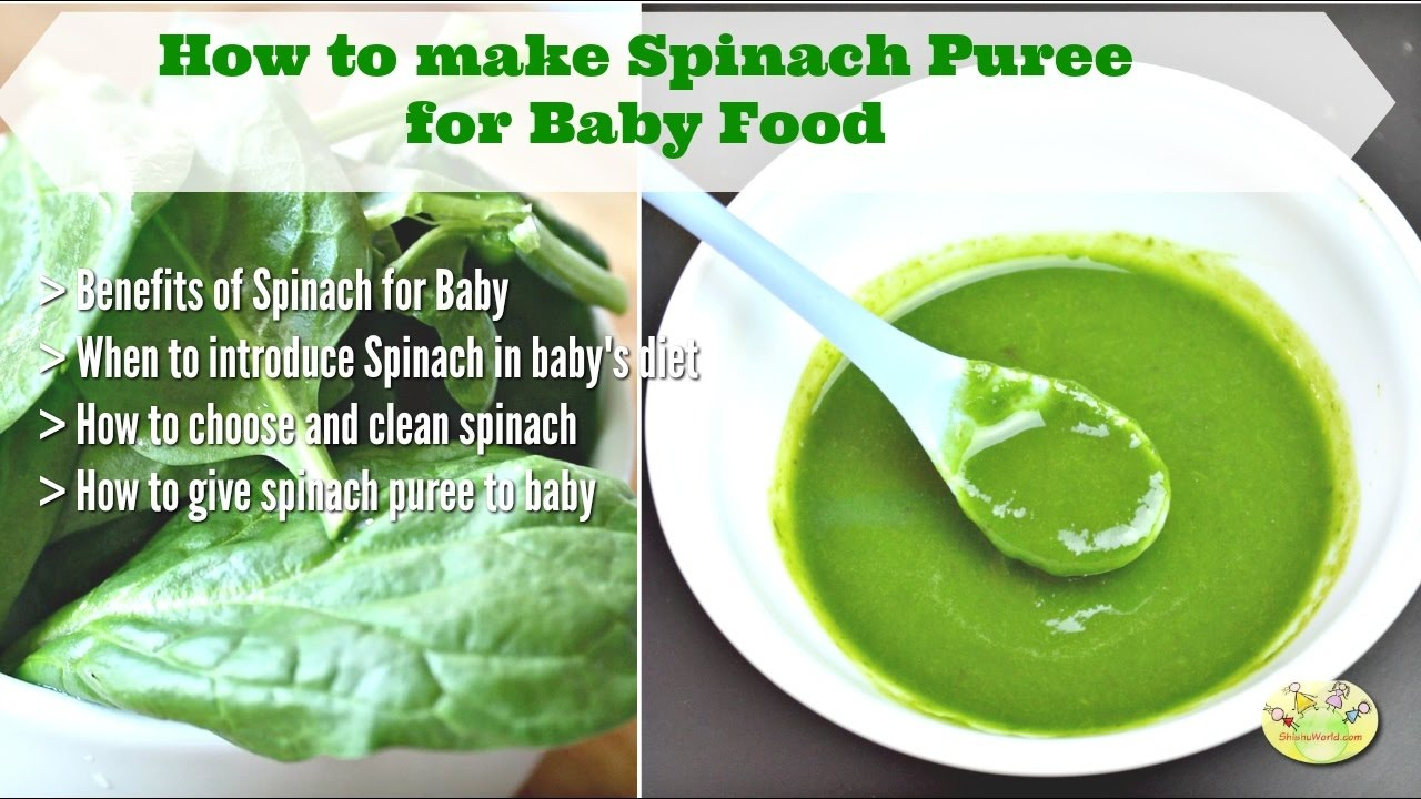 How To Make Spinach Puree For Baby Benefits Of Spinach For Baby 9 