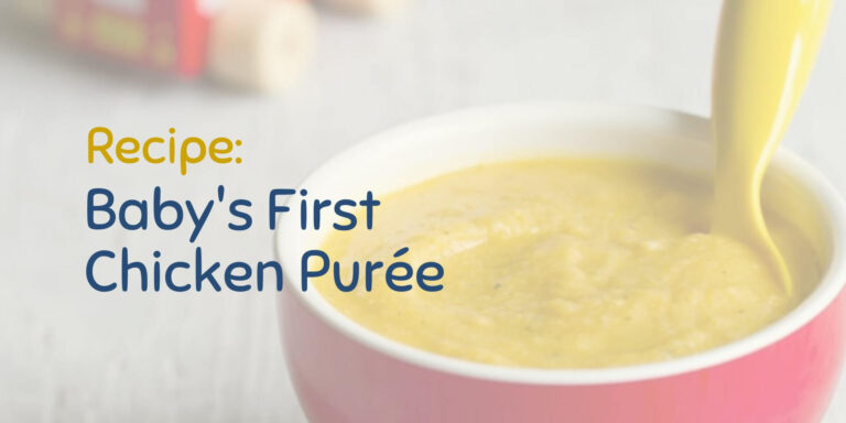 How To Puree Chicken Mince For Baby Alfonzo Stuckey
