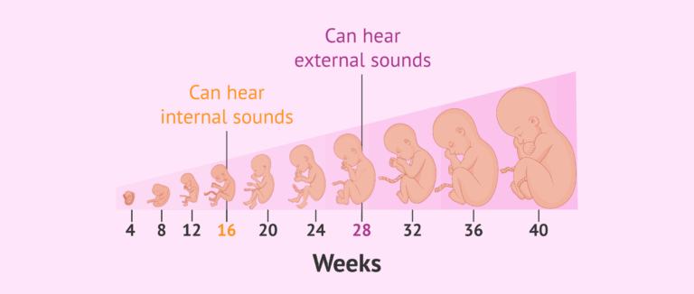 Is It Good For The Baby To Play Music During Pregnancy What Kind 