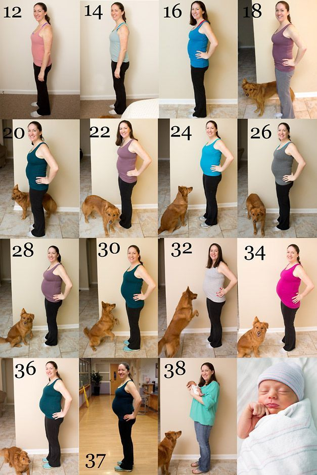 Maternity Weekly Photos Of Baby Belly Bump bumpphoto bumpphotos 