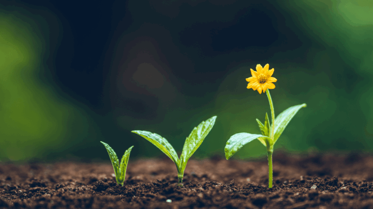 Module 10 How Plants Grow Gardening Express Knowledge Hub