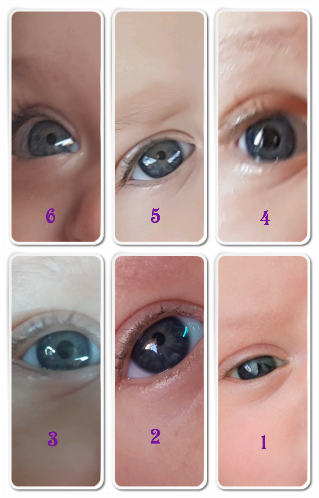 Newborn Eye Color Change Chart