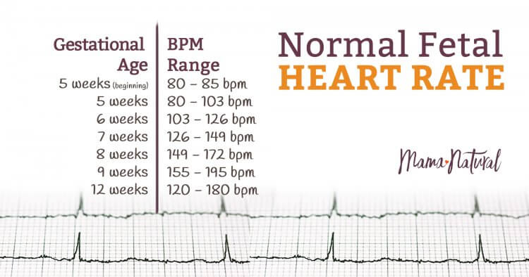 Normal Fetal Heart Rate Chart By Weeks You Re Welcome Vrogue co