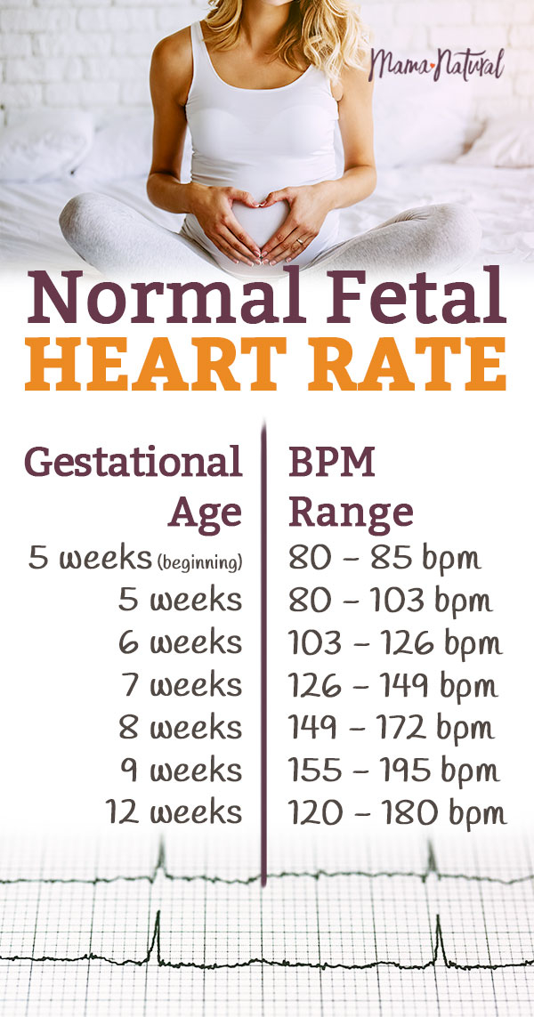 Normal Fetal Heart Rate Is Your Baby On Track Mama Natural