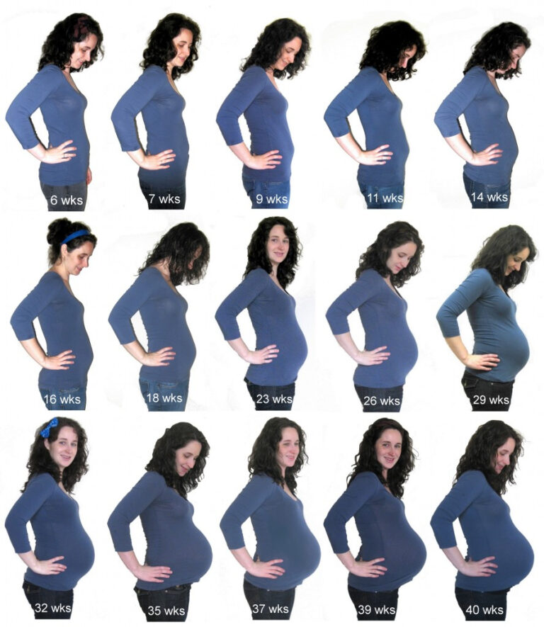 Preggo Meggo My Baby Bump Recap Megan Nielsen Design Diary