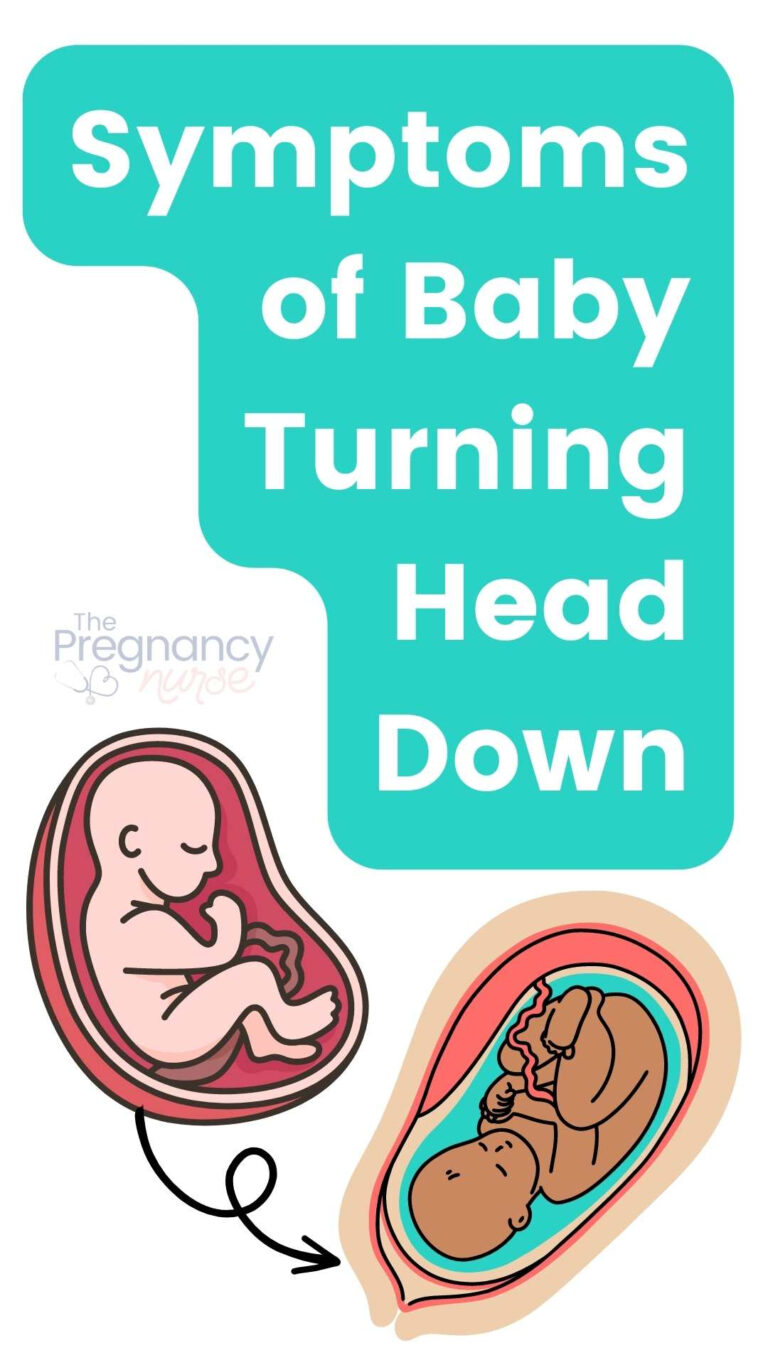 Symptoms Of Baby Turning Head Down The Pregnancy Nurse