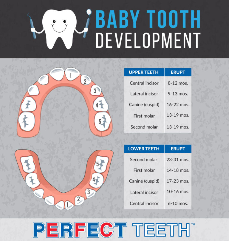Tooth Loss Age Chart Vrogue co