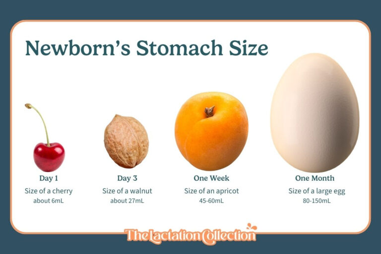 Understanding Your Baby s Stomach Size And How Much Milk They Need 