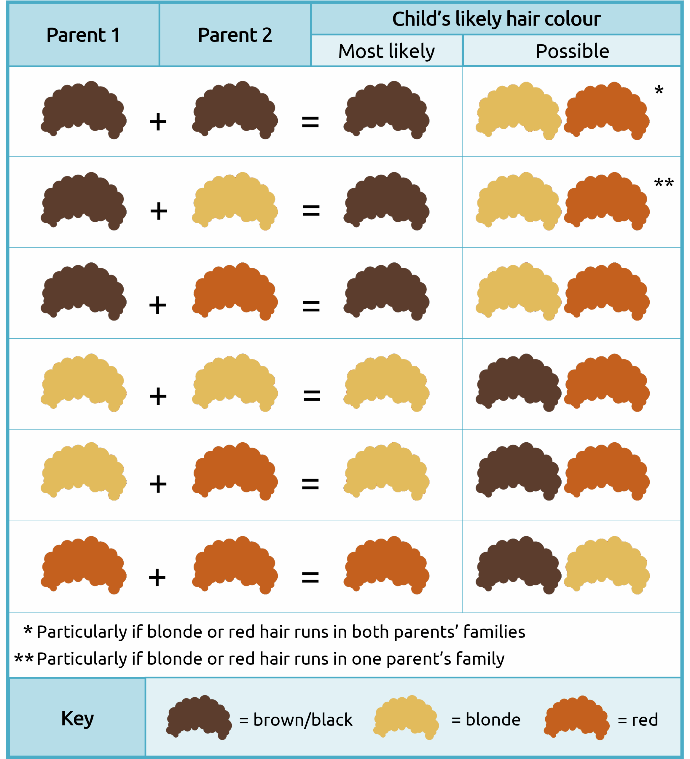 What Color Hair Will My Baby Have A Guide To Hair Color Genetics 