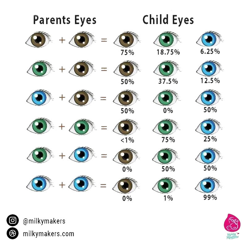 What Eye Color Will My Baby Have The Ultimate Guide Mammy Cares