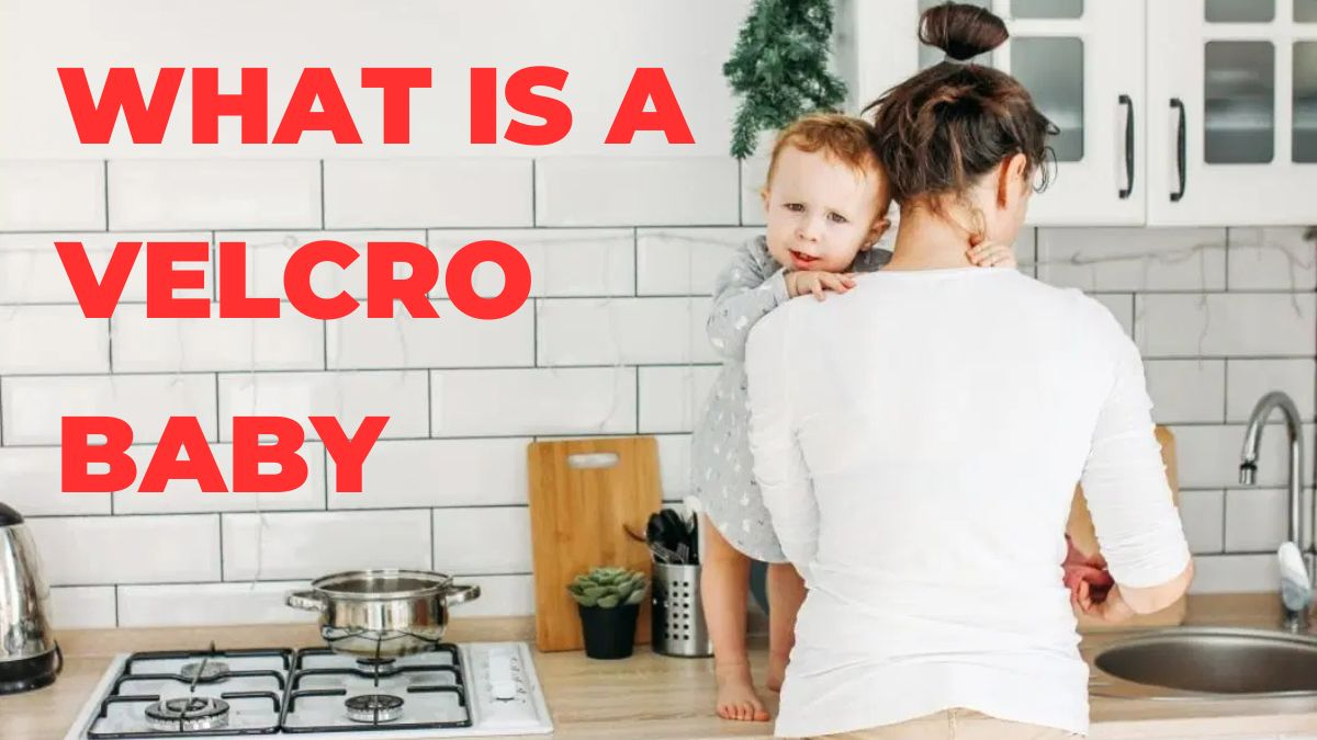 What Is A Velcro Baby Understanding Clingy Baby Behavior